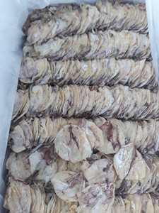 Calamar Séché de Haute Qualité, Durable, Conforme aux Normes d'Exportation, Fournisseur de Fruits de Mer Frais d'Océan - Product Image 5
