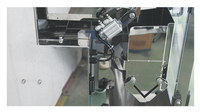 Machine de remplissage Peseuse linéaire automatique de haute précision à 3 têtes Pesage automatique balance multi-têtes