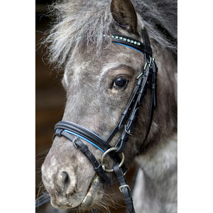 Brida para caballos de alta calidad, carreras de tachuelas para caballos ecuestres, brida lista al mejor precio con logotipo personalizado - Product Image 3