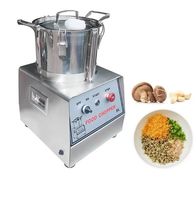 Dezoton Multifunctionele Commerciële Groente- & Fruit Snijmachine (110/220V 550W)
