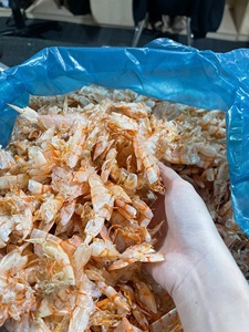 Premier exportateur du Vietnam de coquilles de crevettes séchées supérieures Jouets à mâcher pour animaux de compagnie de qualité supérieure - Product Image 2