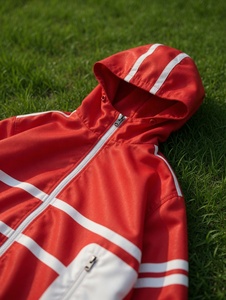 Ensemble de survêtement unisexe imperméable coupe-vent à capuche, personnalisé, 2 pièces, vêtements de sport d'hiver, veste et pantalon en nylon léger - Product Image 6