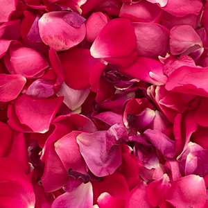 Pétalos de Rosa Premium para Productos Herbales, Soluciones para el Cuidado de la Piel, Ingredientes para Té, Decoración Floral y Fragancias - Product Image 1