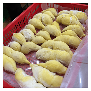 Durian IQF congelado elaborado con pulpa de durian vietnamita para batidos, mezclas de bebidas y preparación de postres tropicales - Product Image 5