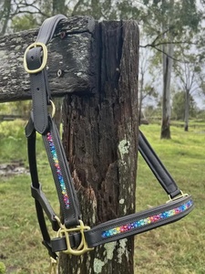 Cabestro de Cuero Genuino de Primera Calidad, Ajustable y Duradero, Estilo Inglés Occidental, Accesorio de Equitación Personalizable - Product Image 2