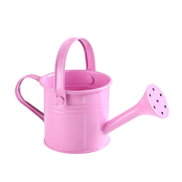 Arrosoir en métal finition rose, prix attractif, pour plantes d'intérieur et d'extérieur, pulvérisation d'eau pour pots de jardin