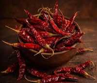 Piment rouge frais, cru et sec, qualité supérieure, récolté à la ferme, épice piquante pour la cuisine, la transformation alimentaire, l'utilisation en cuisine et la vente en gros
