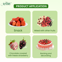 Prêt à consommer Sain Nourriture saine Délicieuse Produits aux fruits Fruits secs Fraise lyophilisée Fabriqué au Vietnam