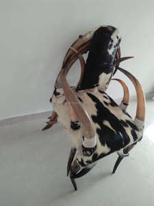 Silla de Cuerno de Buey/Vaca Auténtica Fabricada en Europa, Cómoda, Resistente, Diseñada con Tallados Religiosos de Animales, Tacto Real, Pulido Natural - Product Image 4