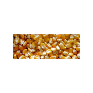 Envío a granel de maíz amarillo para aplicaciones alimentarias - Product Image 2