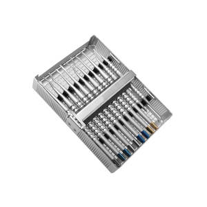 Juego de Instrumentos de Luxación Manuales de Acero Inoxidable Devemed Dev-Lux, Kit de Elevadores Dentales para Uso Profesional - Product Image 1