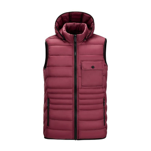 2026 Custom Logo Men's <b>Hooded</b> Puffer Vest Lightweight Quilted Padded <b>Gilet</b> Wholesale Winter Sleeveless Down Jacket Multi-Color - Product Image 3