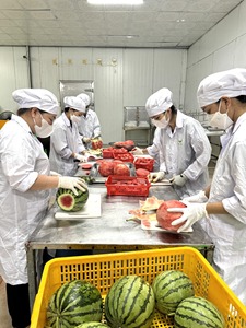 Pastèque en dés surgelée IQF 100% Vietnam, approvisionnement en vrac pour l'exportation et la transformation alimentaire - Mme Tarina (Marque Viet D.E.L.T.A) - Product Image 5