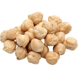 Garbanzos crudos para germinar y hornear, utilizados en restaurantes, servicios de catering y preparación en cocinas comerciales 300-500 USD/Tonelada - Product Image 2