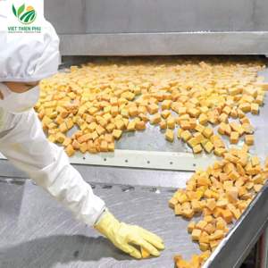 มะม่วงแช่แข็ง IQF พรีเมียม – บรรจุภัณฑ์สุญญากาศ – ราคาโรงงาน - Product Image 2