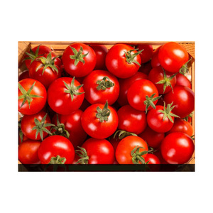 Tomates fraîches de qualité supérieure en gros au meilleur prix, en grande quantité, 100 % naturelles - Product Image 5