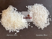 Riz Japonica pour Sushi, Riz Japonais Rond, 5% de grains cassés, du Vietnam, Séché, Durée de Conservation de 2 Ans, 5kg/10kg/25kg, Riz Arroz