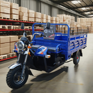 รถสามล้อไฟฟ้าสาม<span class=keywords><strong>ล้อ</strong></span>ยอดนิยมในโรงงานจีน - Product Image 1