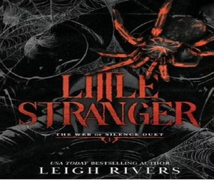 Le Petit Étranger de Leigh Rivers, roman d'horreur gothique mystérieux de haute qualité pour adultes, en édition brochée - Product Image 1