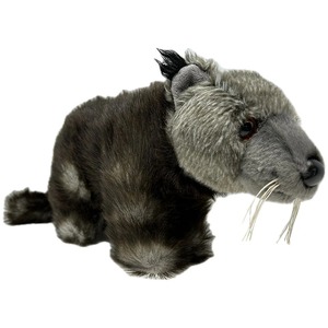 PP Cotton Filling Funny <b>Plush</b> Toy Kawaii Bear <b>Cat</b> <b>Plush</b> Toy Turtle Fox Super Soft <b>Plush</b> Toy - Product Image 1