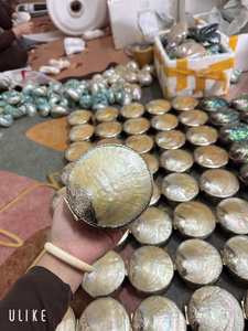 Luxury Mother of Pearl Jewelry Box | Oval <b>Abalone</b> & Scallop <b>Shell</b> Case | Iridescent Home Decor - Product Image 6