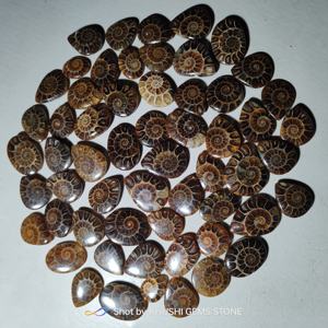Top qualité prix de gros lot en vrac en vente bijoux en vrac pierres précieuses Cabochon pierre ammonite pour la fabrication de bijoux - Product Image 3