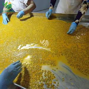 เวียตเธียนฟู่ |   เนื้อเสาวรสแช่แข็งพรีเมียม IQF บรรจุภัณฑ์สุญญากาศ มาตรฐานส่งออกจากเวียดนาม - Product Image 6