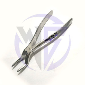 Forceps d'extraction dentaire # 74 instruments chirurgicaux en acier inoxydable pour l'extraction dentaire - Product Image 5