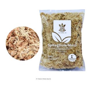 Mousse de sphagnum séchée de haute qualité 1L, substrat organique stérilisé à absorption rapide pour plantes - Product Image 2