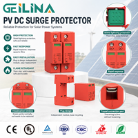 Parafoudre biphasé 2P 40KA pour éclairage, protection contre les surtensions 20kA~40kA 1000V, dispositifs de protection contre les surtensions PV