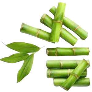 Bamboo <b>Extract</b> Premium Plant <b>Extract</b> for Various Applications - Product Image 3