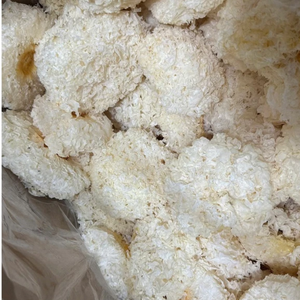 Hongo Blanco Tremella Seco Seleccionado para Cocina Comercial, Sopa y Postre, de Vietnam - Product Image 3