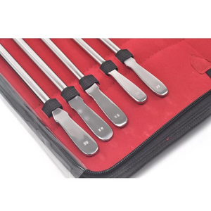 Juego de Dilatadores Uretrales Van Buren Premium, Instrumentos Médicos Quirúrgicos de Urología de Acero Inoxidable, con Certificación CE e ISO, Profesional - Product Image 5