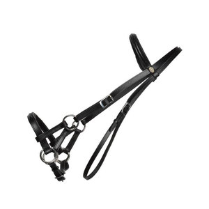 Bridas de Cuero para Caballos de Alta Calidad al por Mayor, Resistentes al Agua y Duraderas, para Uso Profesional Ecuestre - Product Image 4