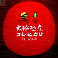 Poupée japonaise géante gonflable Daruma en tissu Oxford avec éclairage LED, logo personnalisé, couleur au choix, pour événements commerciaux porte-bonheur