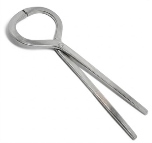 Forceps vétérinaires en acier inoxydable, instrument chirurgical réutilisable, taille 13 pouces - Product Image 1