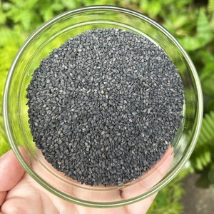 Graines de sésame noir biologiques séchées, ingrédient pour les producteurs alimentaires, pour un nettoyage soigné et un emballage professionnel en vrac - Product Image 4