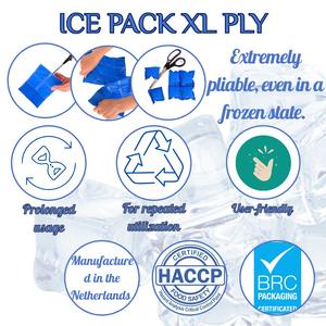 Paquete de Gel Refrigerante de Alta Calidad para Protección de Bordes, Suministro al por Mayor, Transporte en 24 Horas, Gel Refrigerante Medio, Blanco, 14x20cm, en Caja - Product Image 6