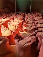 Polvo de Joss y Polvo de Makko Directo y Económico, Precio de Fábrica al por Mayor para la Fabricación de Incienso y Exportación de Varillas de Incienso