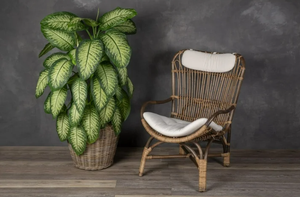 Macetas de Almacenamiento para Exterior de Ratán Tallado a Mano, Estilo Rústico Bohemio, Hechas en Vietnam, con Asas Tejidas a Mano, Ecológicas - Product Image 6