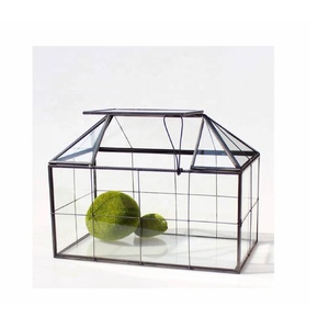 Terrario de vidrio de metal de alta calidad, casa de vidrio suculenta, terrario con tapa, Terrario de casa verde - Product Image 2