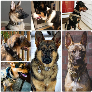 Imra Impex, Fabricante Mayorista de Collares Personalizados para Mascotas, Collar Táctico Resistente para Perros Grandes, Hebilla Metálica, Modelo de Microfibra - Product Image 5