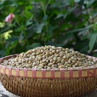 OEM/ODM Export/Import Vente en gros Grains de café vert Arabica & Robusta 100% naturels Qualité supérieure Café non torréfié du Vietnam