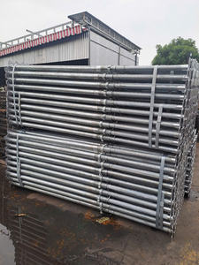 Échafaudages Ringlock de style industriel en acier, marque Liphoco, capacité de charge de 1000 kg pour la construction et l'utilisation en entrepôt, OEM - Product Image 4