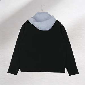 Custom Logo Unisex Hoodie Wholesale 100% Cotton Fleece Pullover OEM/ODM Heavyweight Streetwear Sweatshirt Bulk Supplier - Product Image 4
