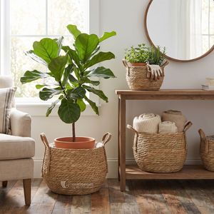 Woven Wicker <b>Plant</b> <b>Basket</b> Set with Handles, Indoor Flower Pot Cover Vietnam Wholesale from Viettimecraft Factory - Product Image 4