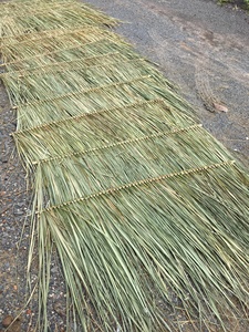 Materiales Ecológicos para Techos de Paja, Bambú y Hierba Marina Seca para Decoración de Gazebo, Jardín y Casa en Resorts - Macy - Product Image 3