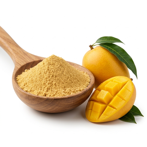 Polvo de mango puro hecho con mangos maduros naturales para proveedores y fabricantes mayoristas. - Product Image 2