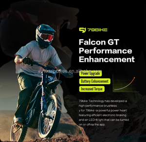 नई आगमन 79 बाइक फाल्कन जीटी इलेक्ट्रिक गंदगी बाइक 16.8kw शक्तिशाली मोटर 610n.m टॉर्क - Product Image 6
