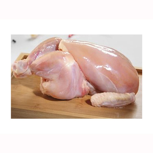 ไก่แช่แข็งฮาลาลทั้งตัวขาย - Product Image 6